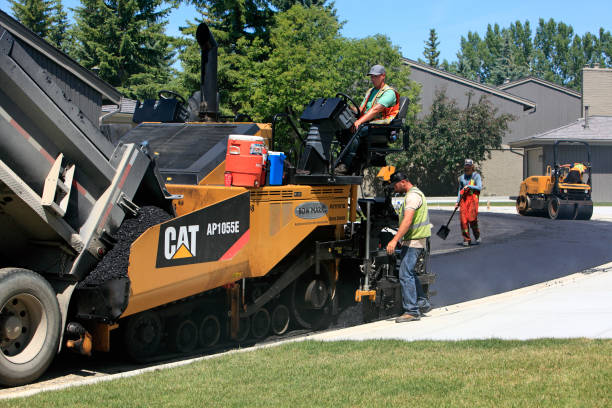 Best Custom Driveway Pavers  in Mason Neck, VA